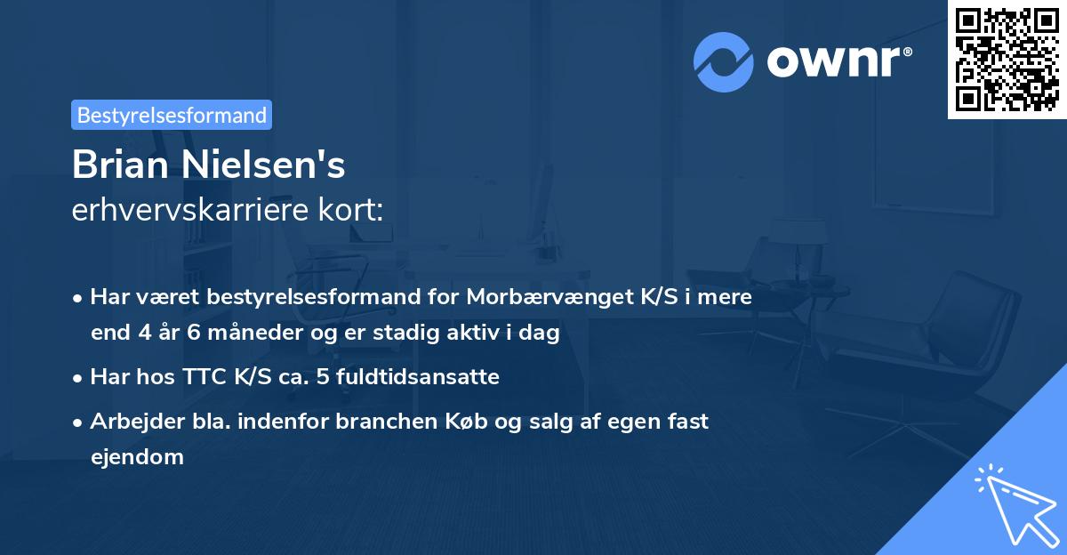 Brian Nielsen's erhvervskarriere kort