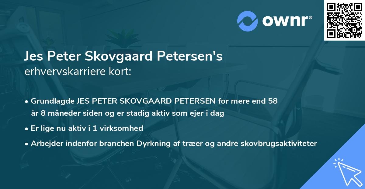 Jes Peter Skovgaard Petersen's erhvervskarriere kort