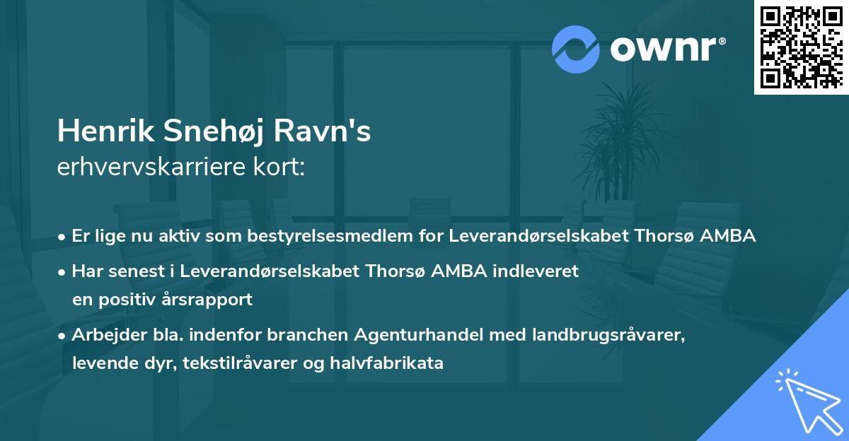 Henrik Snehøj Ravn's erhvervskarriere kort