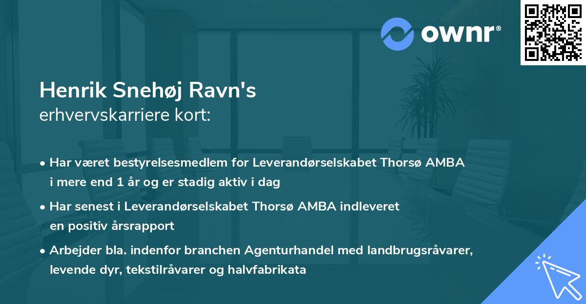 Henrik Snehøj Ravn's erhvervskarriere kort