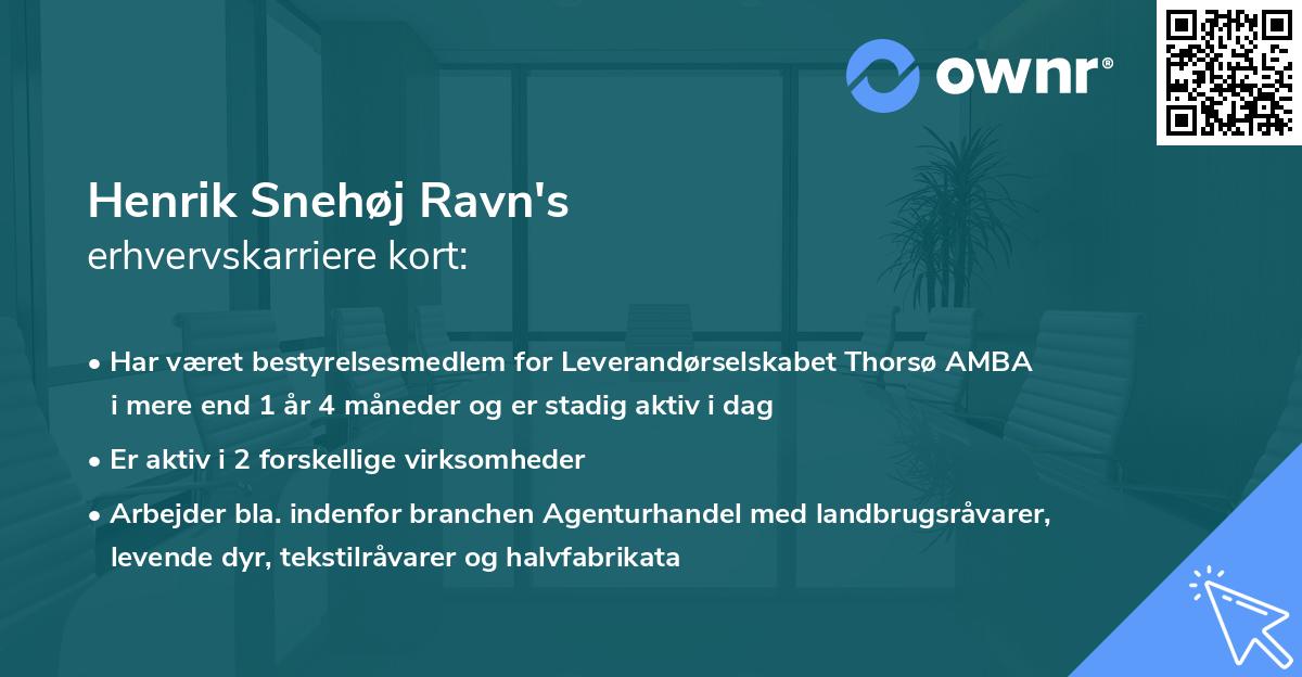 Henrik Snehøj Ravn's erhvervskarriere kort
