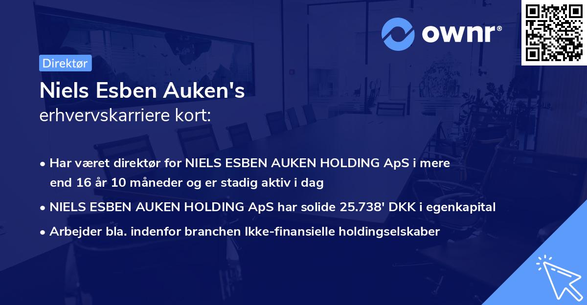 Niels Esben Auken's erhvervskarriere kort