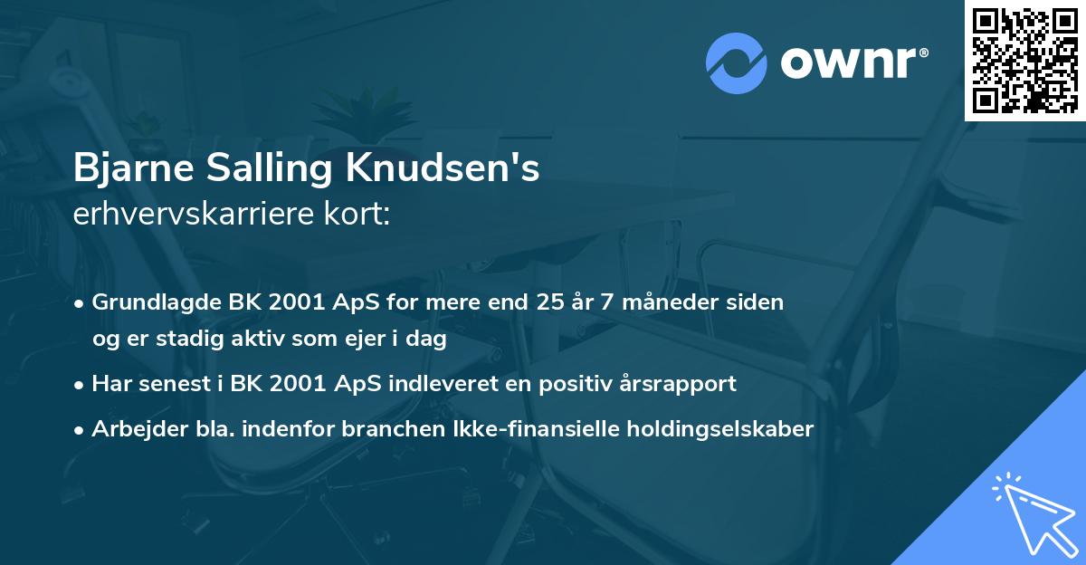 Bjarne Salling Knudsen's erhvervskarriere kort