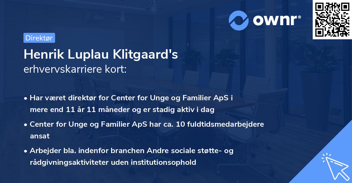 Henrik Luplau Klitgaard's erhvervskarriere kort