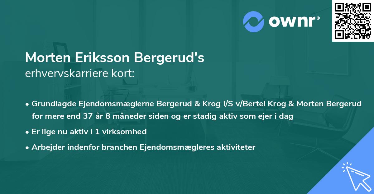 Morten Eriksson Bergerud's erhvervskarriere kort