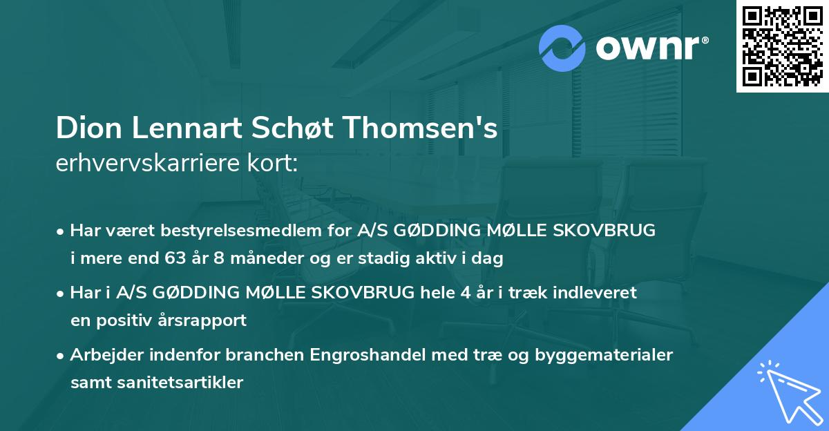 Dion Lennart Schøt Thomsen's erhvervskarriere kort