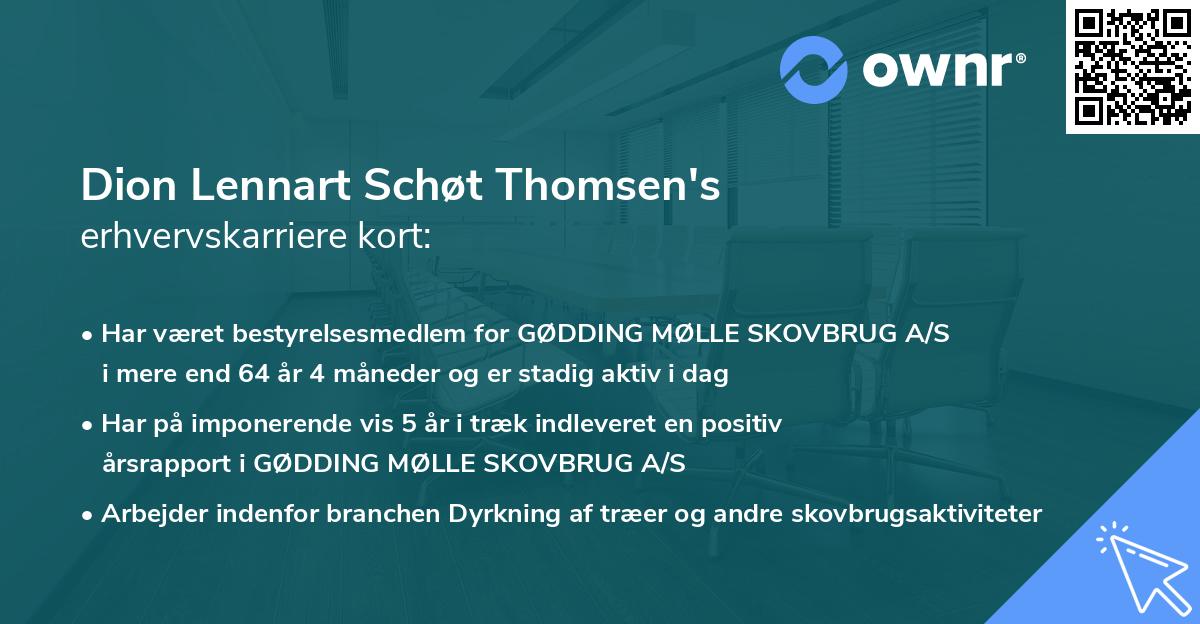 Dion Lennart Schøt Thomsen's erhvervskarriere kort