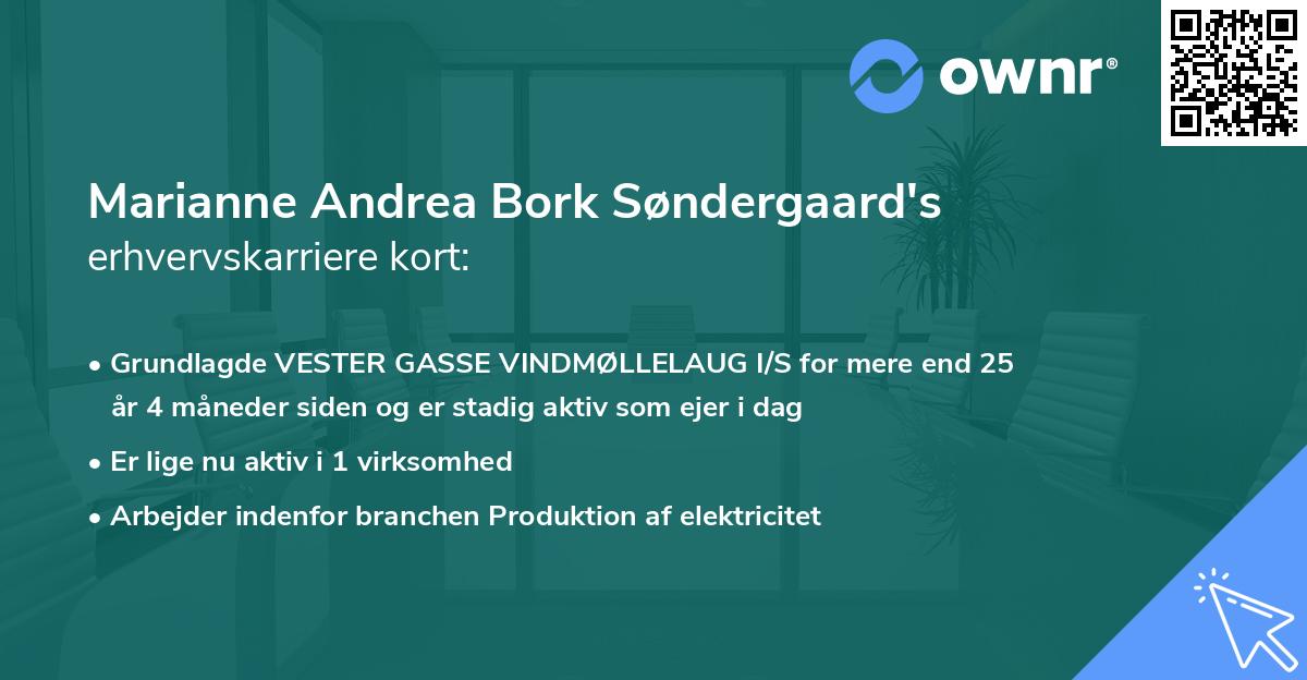 Marianne Andrea Bork Søndergaard's erhvervskarriere kort