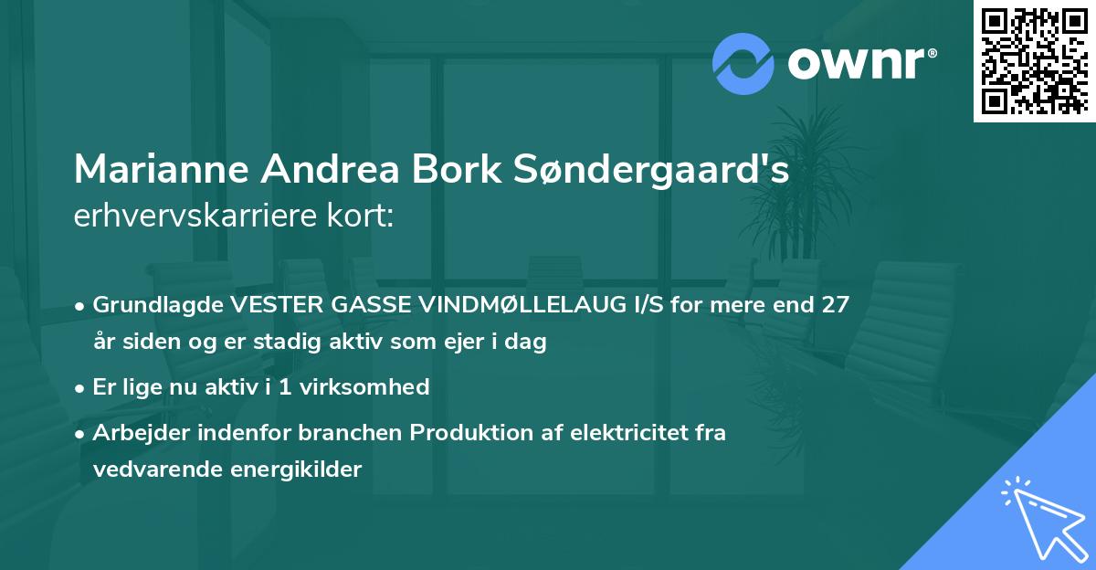 Marianne Andrea Bork Søndergaard's erhvervskarriere kort