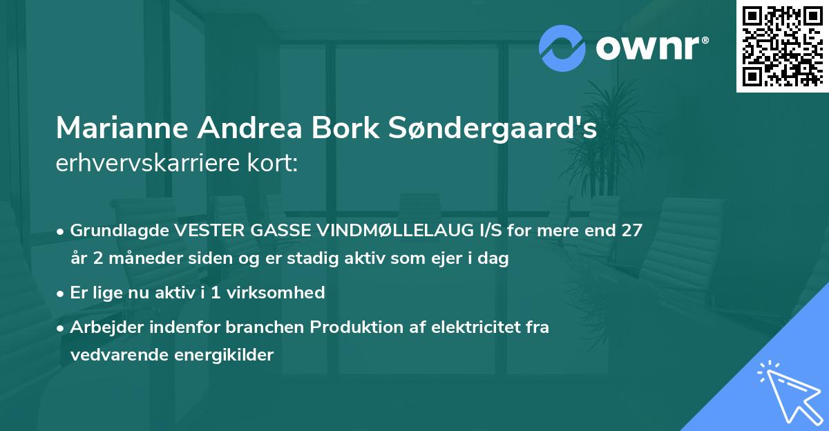 Marianne Andrea Bork Søndergaard's erhvervskarriere kort