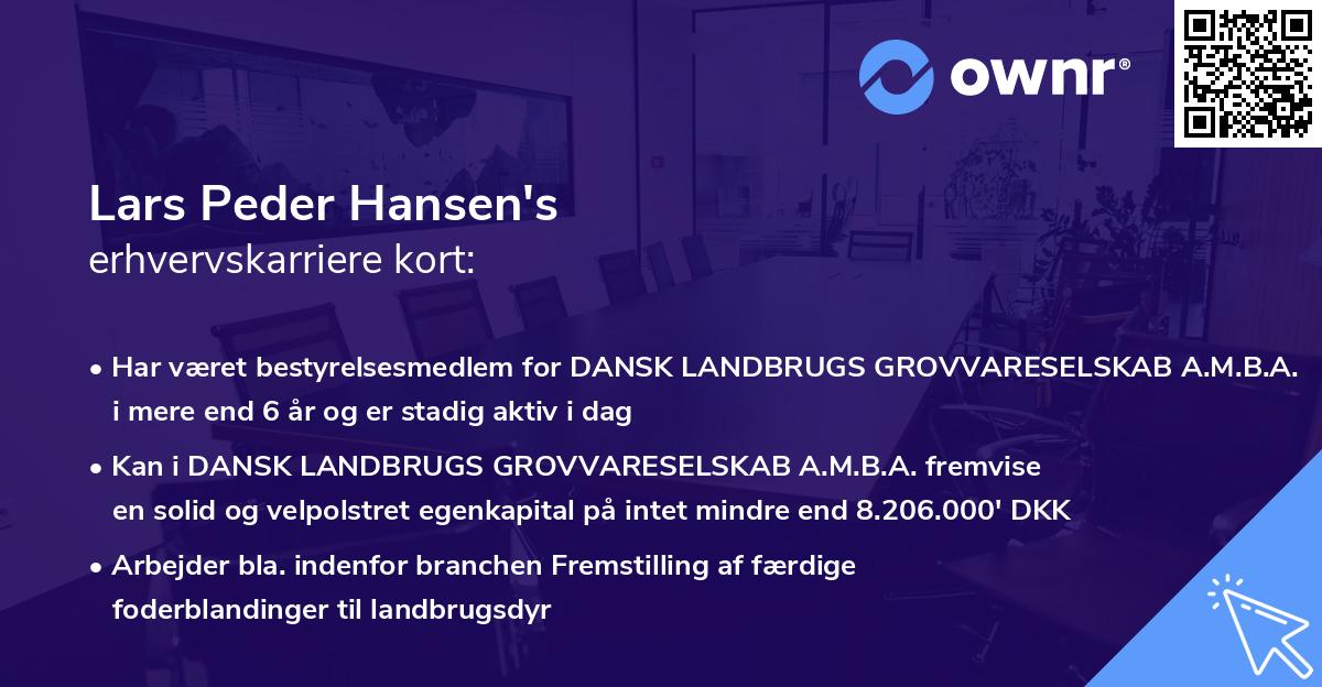 Lars Peder Hansen's erhvervskarriere kort