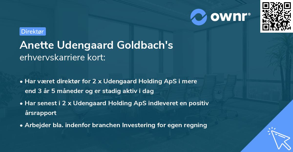 Anette Udengaard Goldbach's erhvervskarriere kort