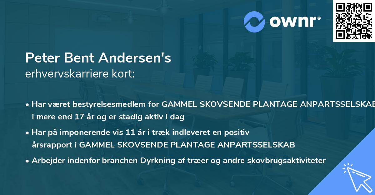 Peter Bent Andersen's erhvervskarriere kort