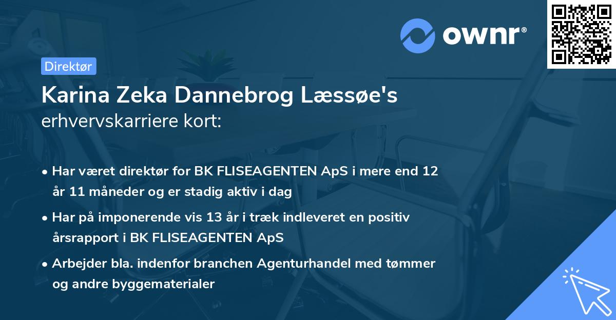 Karina Zeka Dannebrog Læssøe's erhvervskarriere kort