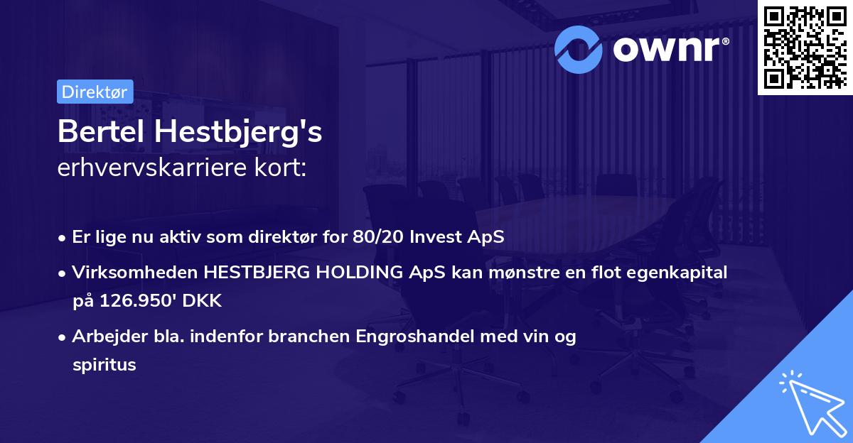 Bertel Hestbjerg's erhvervskarriere kort