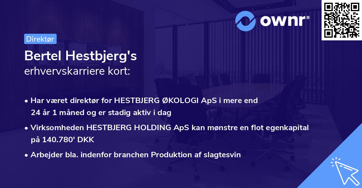 Bertel Hestbjerg's erhvervskarriere kort