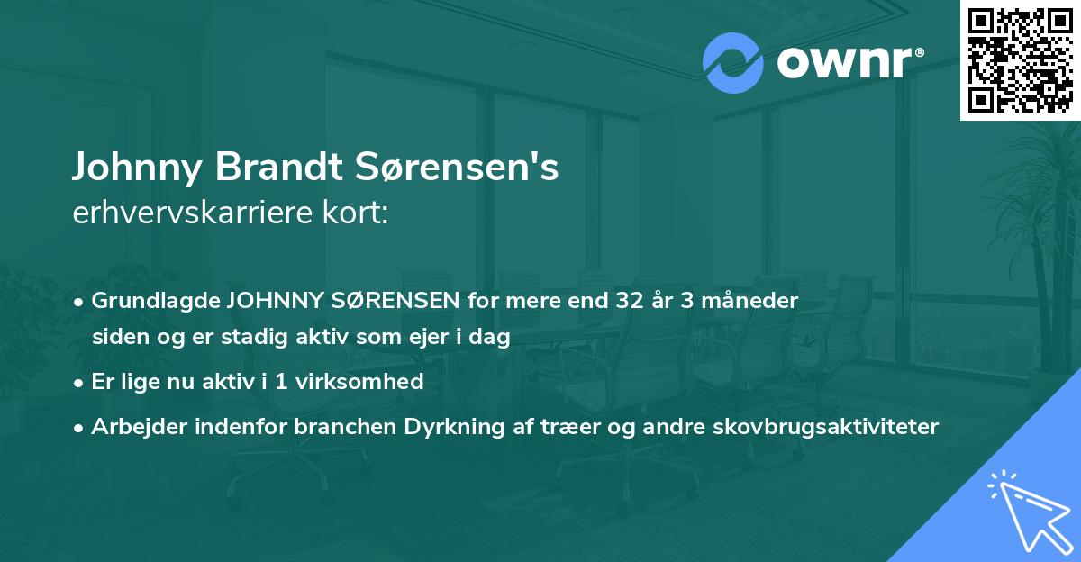 Johnny Brandt Sørensen's erhvervskarriere kort