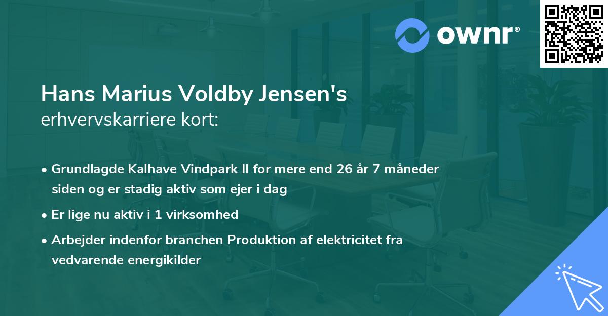 Hans Marius Voldby Jensen's erhvervskarriere kort