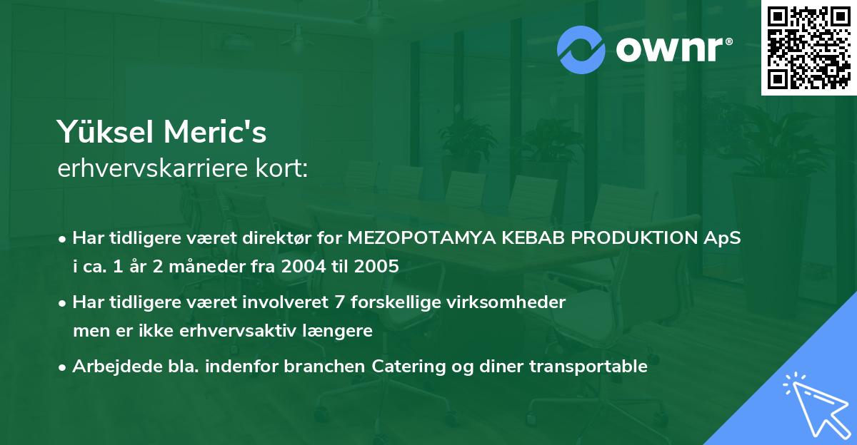 Yüksel Meric's erhvervskarriere kort