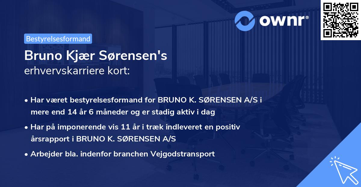Bruno Kjær Sørensen's erhvervskarriere kort