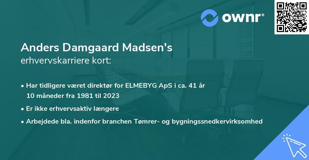 Anders Damgaard Madsen's erhvervskarriere kort