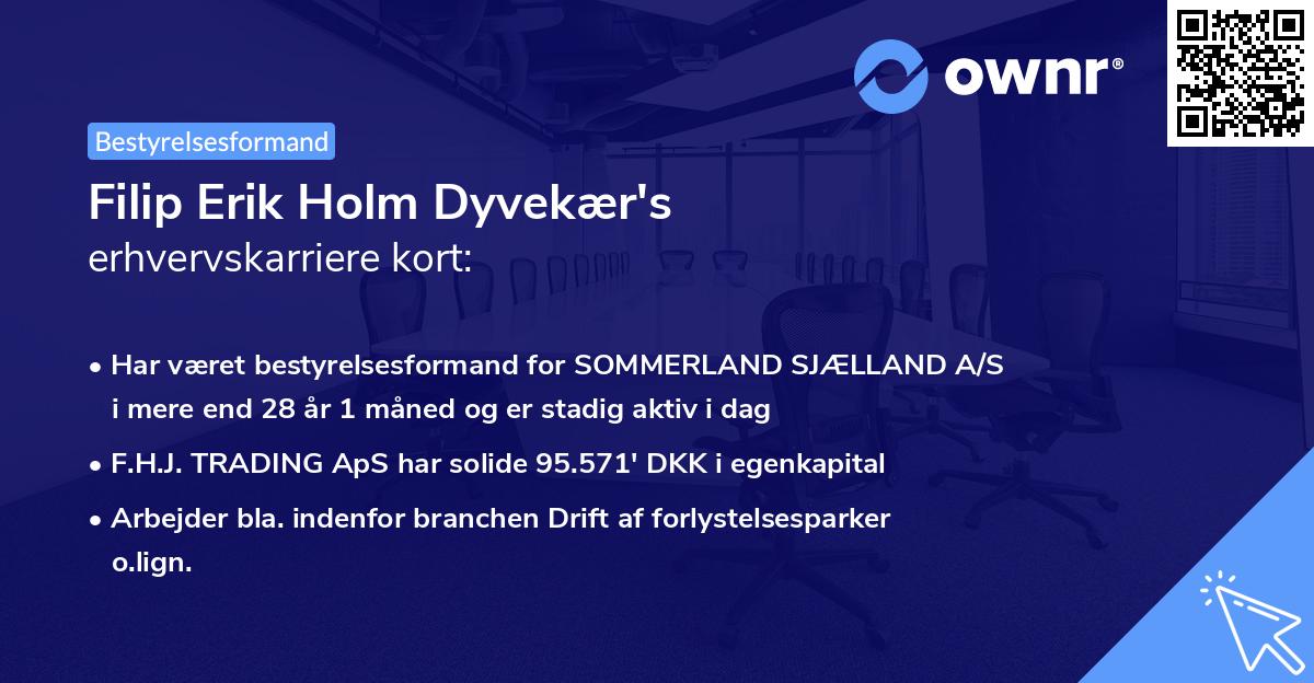 Filip Erik Holm Dyvekær's erhvervskarriere kort
