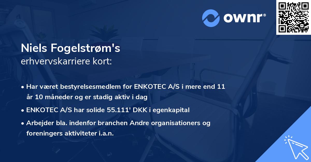 Niels Fogelstrøm's erhvervskarriere kort
