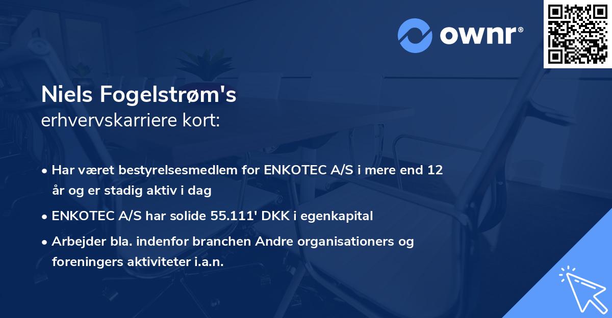 Niels Fogelstrøm's erhvervskarriere kort