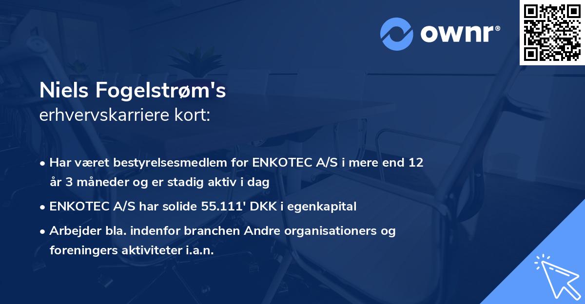 Niels Fogelstrøm's erhvervskarriere kort