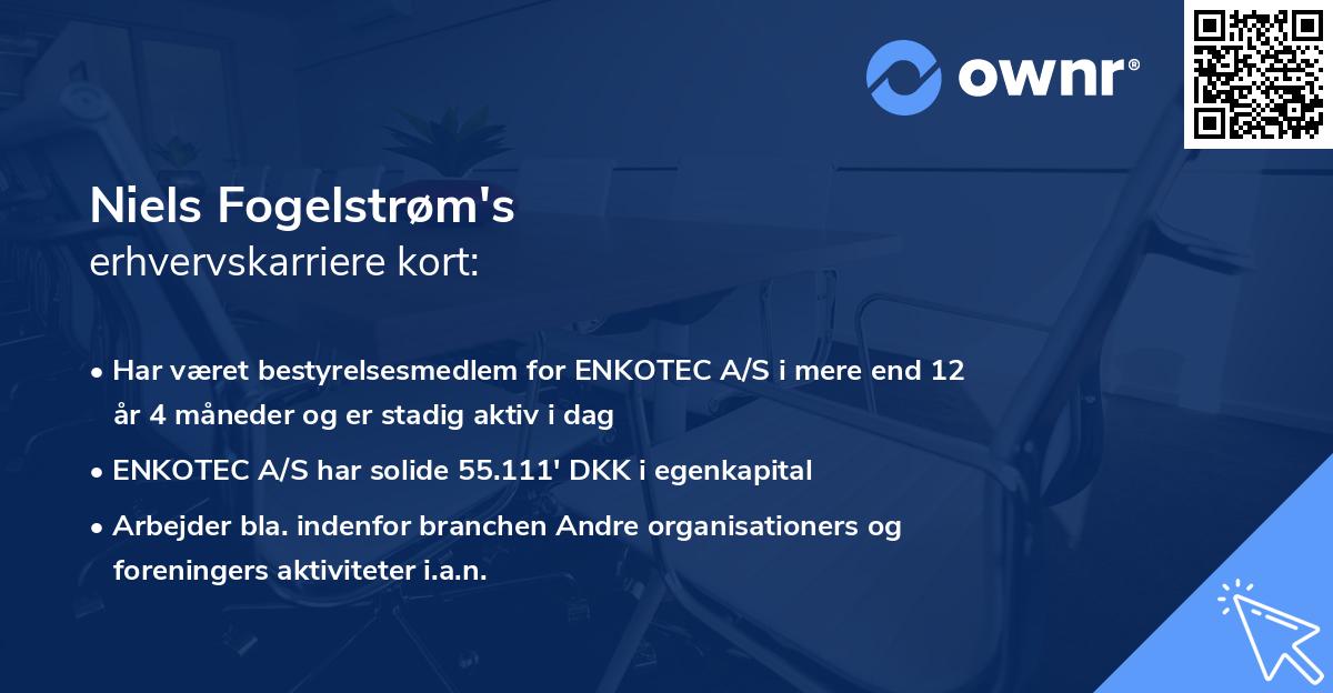 Niels Fogelstrøm's erhvervskarriere kort