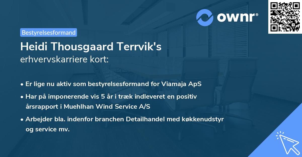 Heidi Thousgaard Terrvik's erhvervskarriere kort