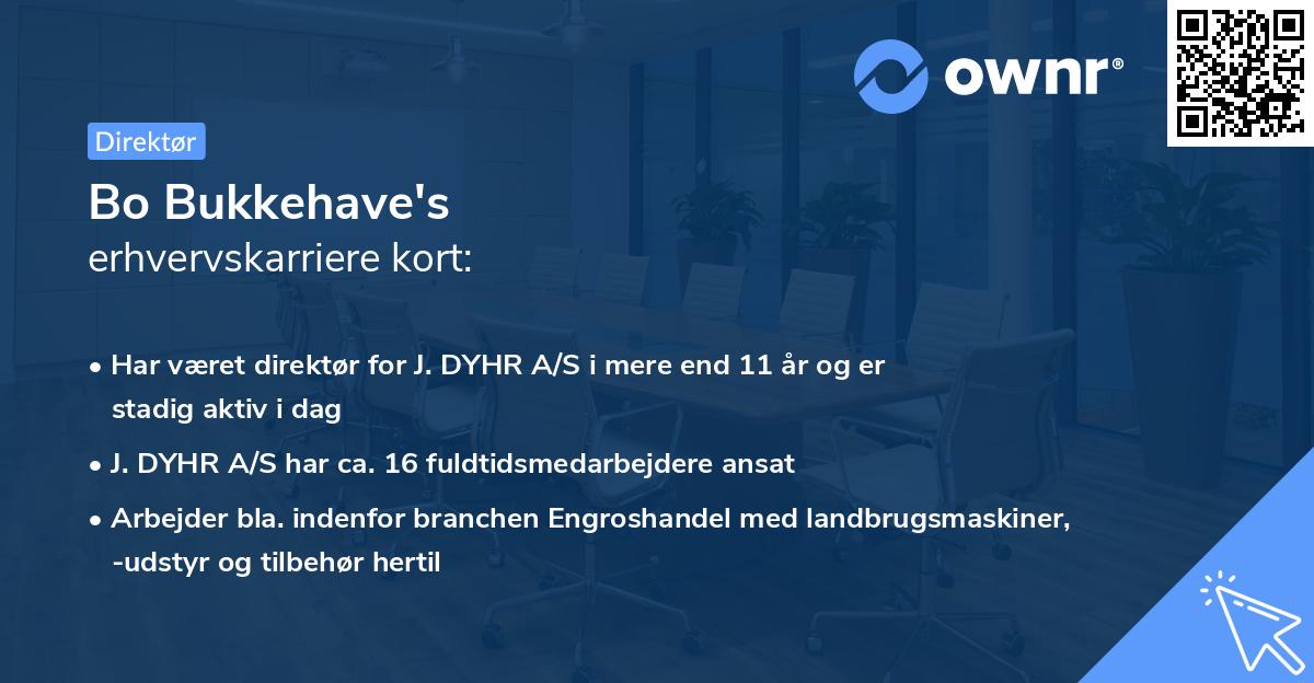 Bo Bukkehave's erhvervskarriere kort