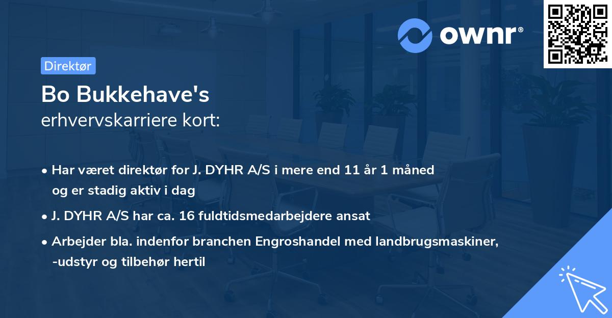 Bo Bukkehave's erhvervskarriere kort
