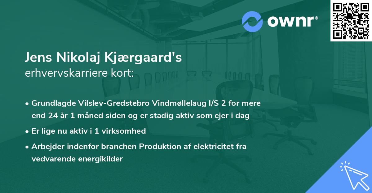 Jens Nikolaj Kjærgaard's erhvervskarriere kort