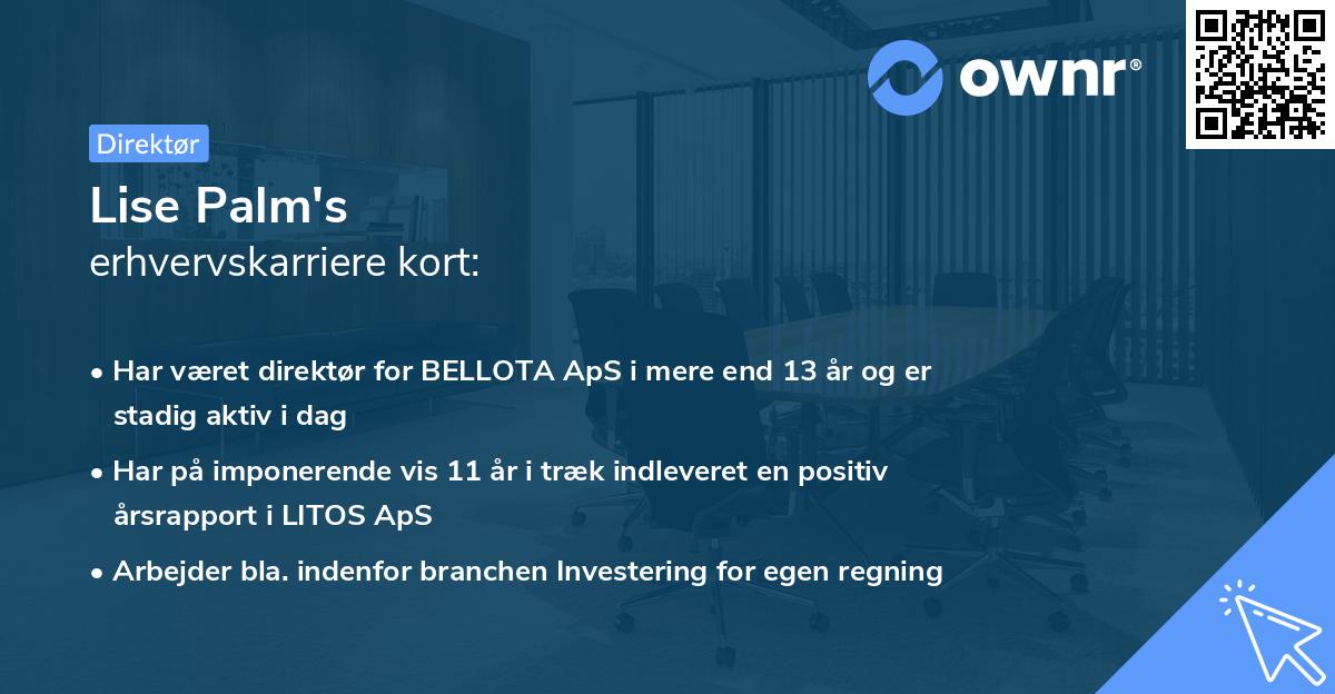 Lise Palm's erhvervskarriere kort