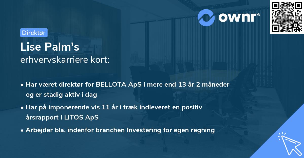 Lise Palm's erhvervskarriere kort