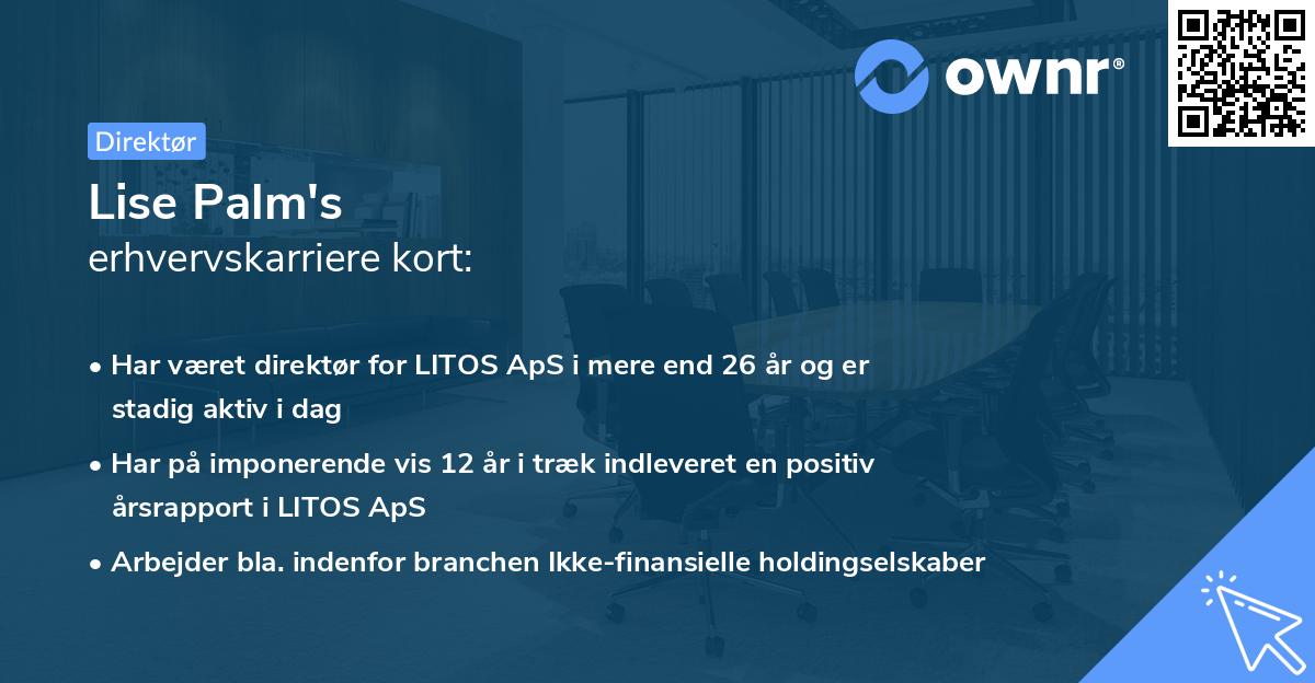 Lise Palm's erhvervskarriere kort