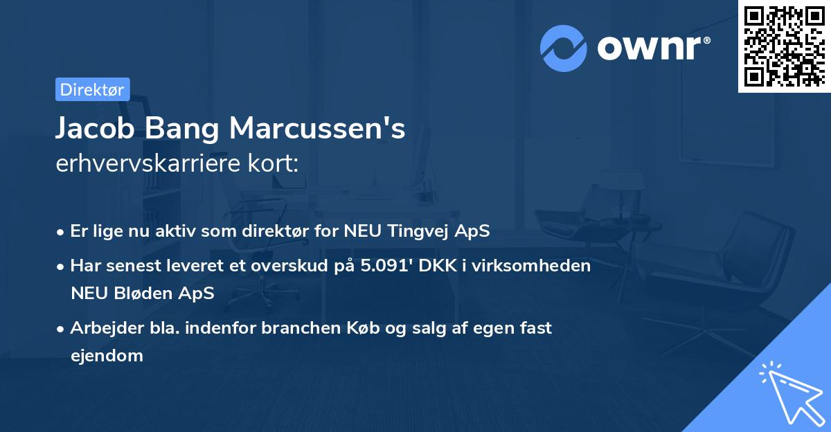 Jacob Bang Marcussen's erhvervskarriere kort
