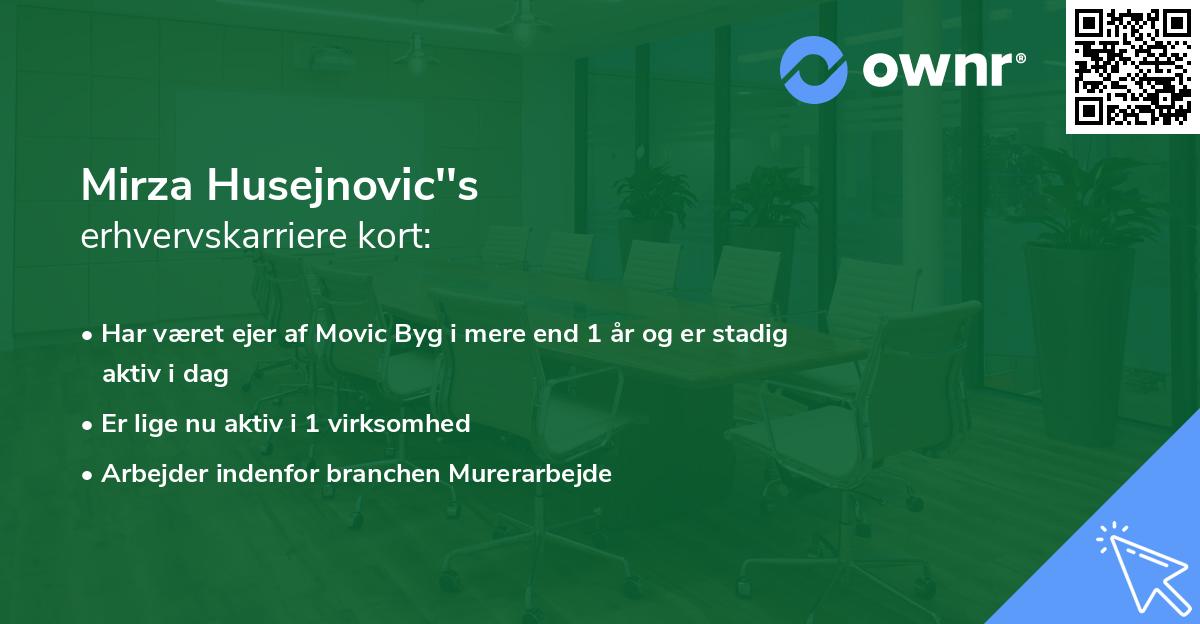 Mirza Husejnovic''s erhvervskarriere kort