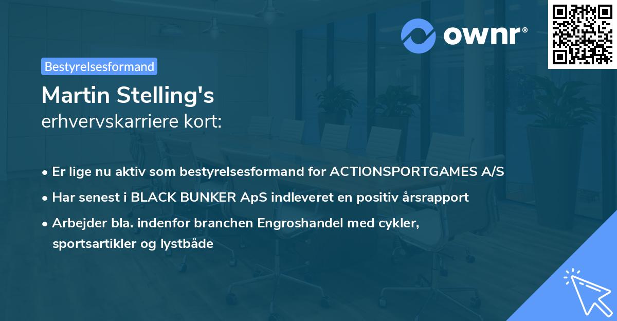 Martin Stelling's erhvervskarriere kort