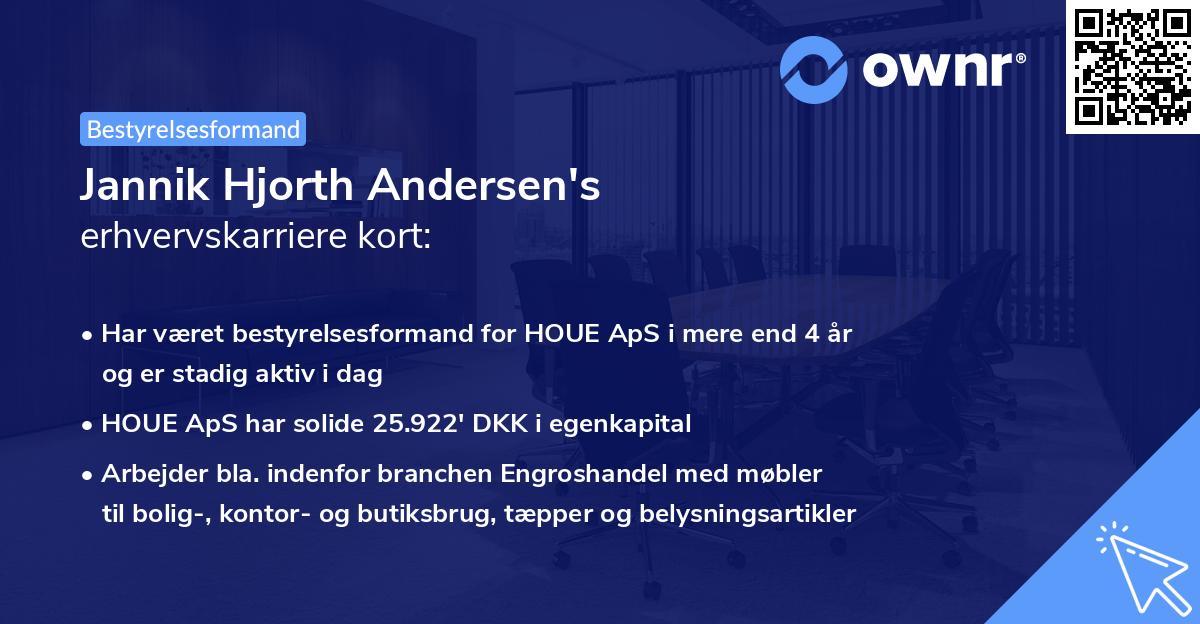 Jannik Hjorth Andersen's erhvervskarriere kort