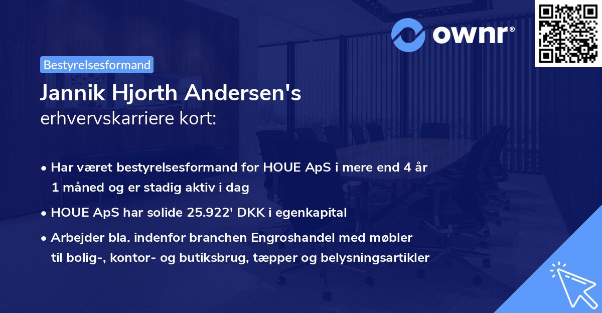 Jannik Hjorth Andersen's erhvervskarriere kort