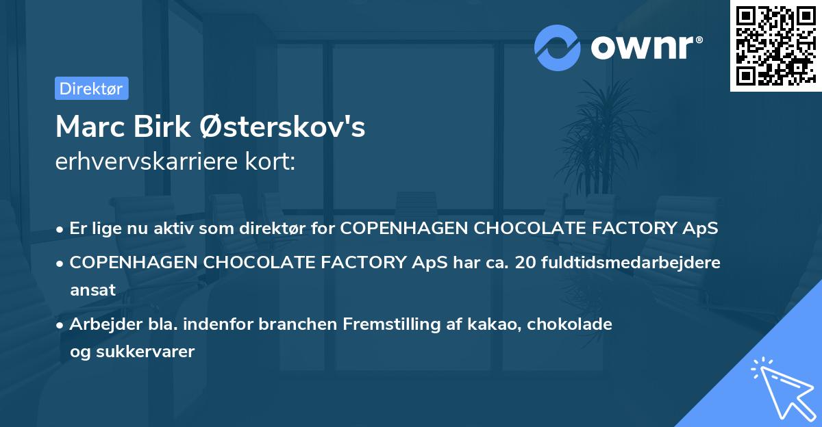 Marc Birk Østerskov's erhvervskarriere kort