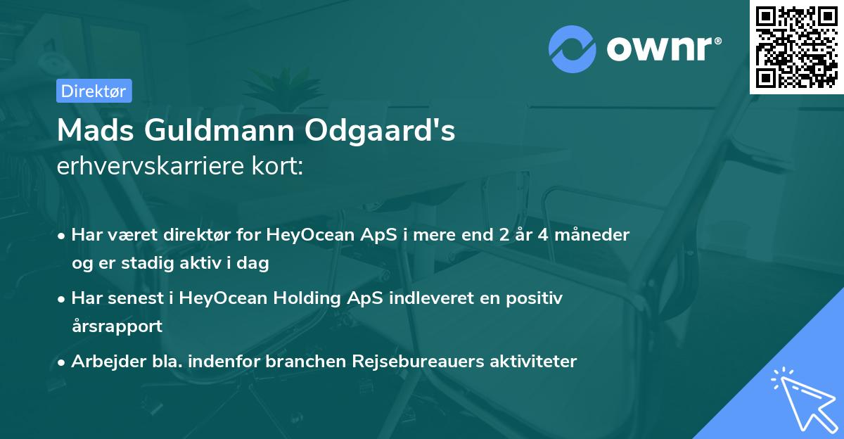 Mads Guldmann Odgaard's erhvervskarriere kort