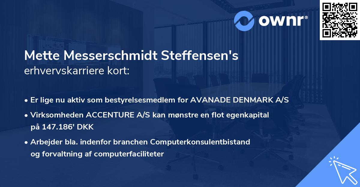 Mette Messerschmidt Steffensen's erhvervskarriere kort