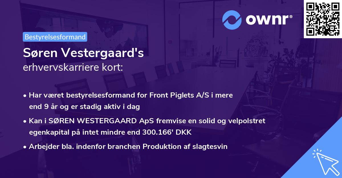 Søren Vestergaard's erhvervskarriere kort