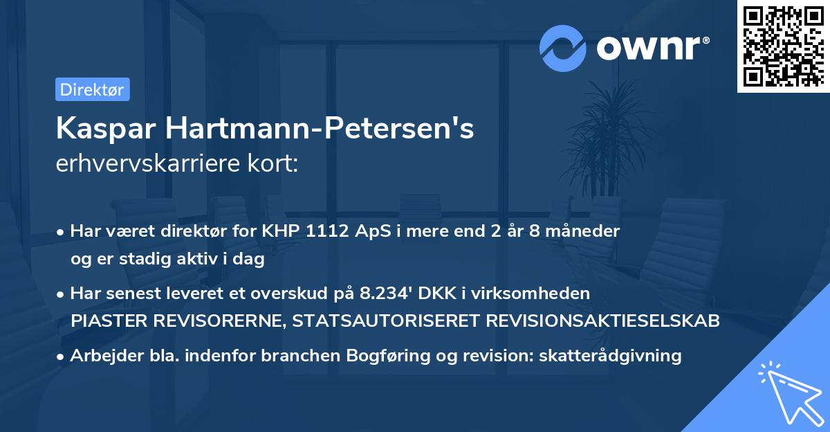 Kaspar Hartmann-Petersen's erhvervskarriere kort