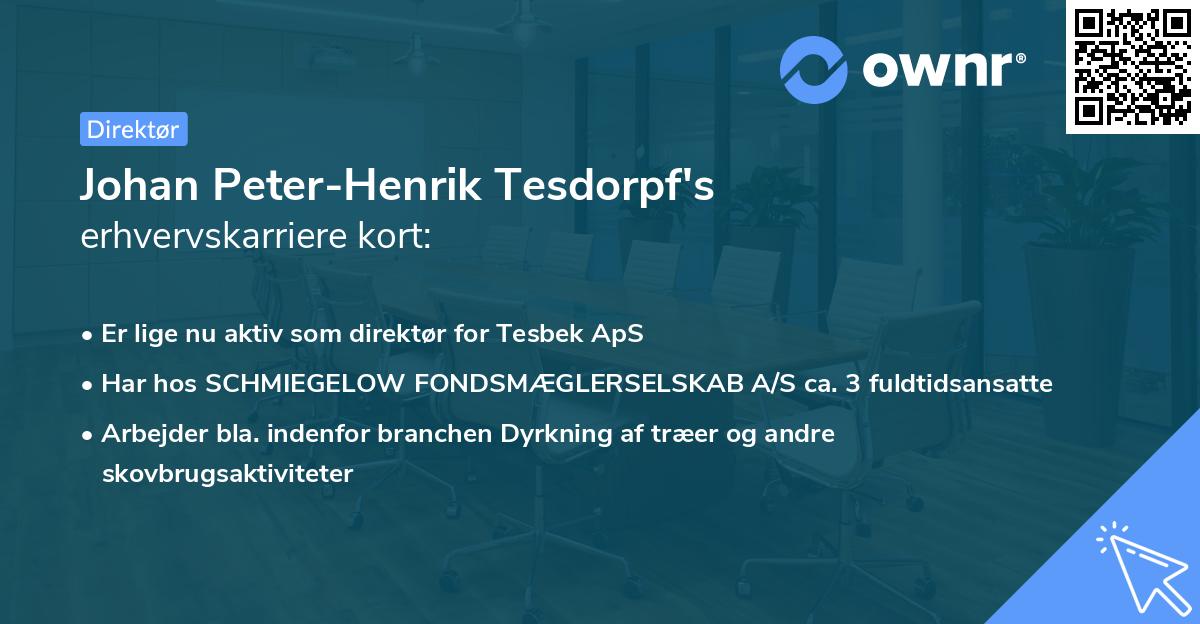 Johan Peter-Henrik Tesdorpf's erhvervskarriere kort