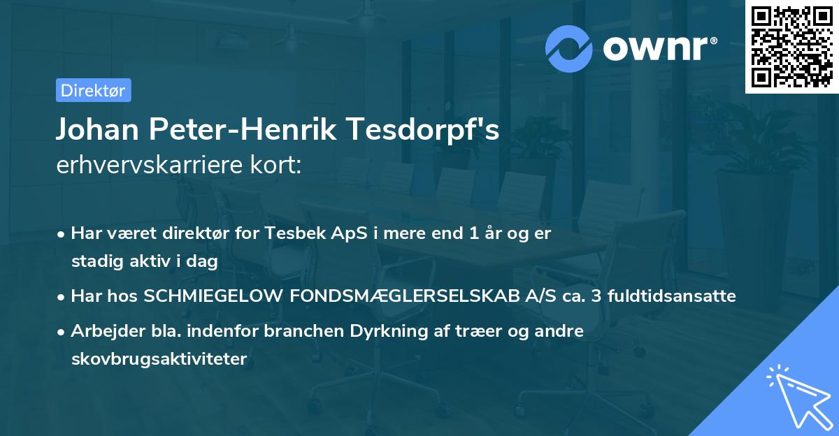 Johan Peter-Henrik Tesdorpf's erhvervskarriere kort
