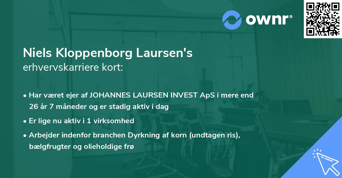 Niels Kloppenborg Laursen's erhvervskarriere kort